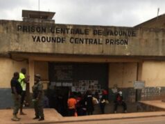 décision forte : Paul Biya ignore « les prisonniers politiques » et ordonne la libération de 333 personnes arrêtées dans le cadre de la crise anglophone