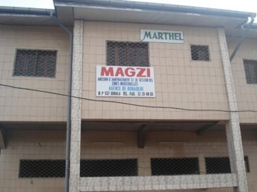 magzi