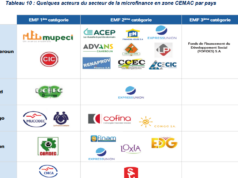 Financement en zone CEMAC: Sur les cinq dernières années, les établissements de microfinance ont diminué de 627 en 2019 à 521 entreprises en 2023
