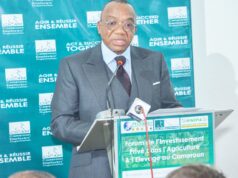 Investissement Privé dans l’Agriculture: ce que Célestin Tawamba a dit aux membres du gouvernement camerounais au Medef International et aux porteurs de projets