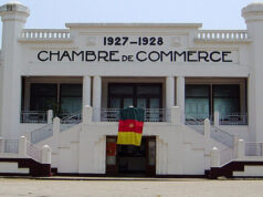 Diplomatie économique : des hommes d’affaires argentins en visite au Cameroun