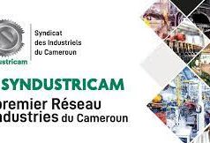 Coopération : le Syndustricam examine ses possibilités d’accès au Cweic, le bras séculier du Commonwealth destiné aux entreprises