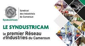 Coopération : le Syndustricam examine ses possibilités d’accès au Cweic, le bras séculier du Commonwealth destiné aux entreprises