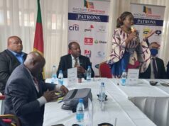 Coopération : agriculture, énergies renouvelables, santé, des domaines que des hommes d’affaires américains veulent développer au Cameroun
