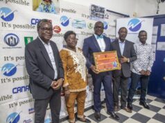 Entreprise : Wisdom International, lauriers et opportunités alléchantes